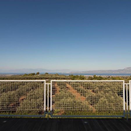 Country Villa Peloponnese With Tennis Court And Pool Zevgolateíon Exterior photo