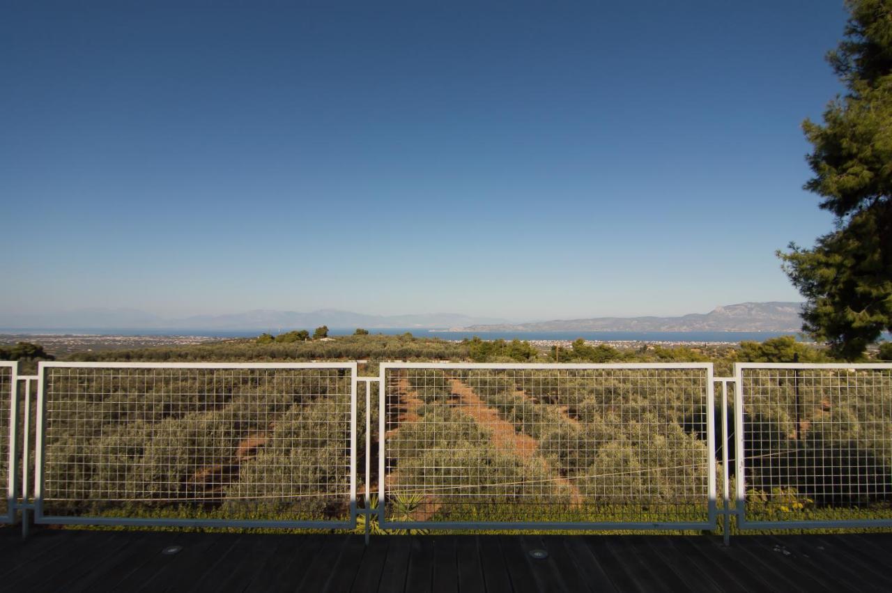 Country Villa Peloponnese With Tennis Court And Pool Zevgolateíon Exterior photo